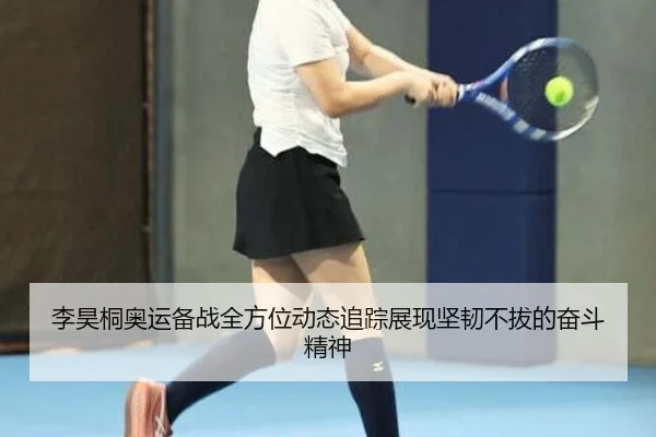李昊桐奥运备战全方位动态追踪展现坚韧不拔的奋斗精神