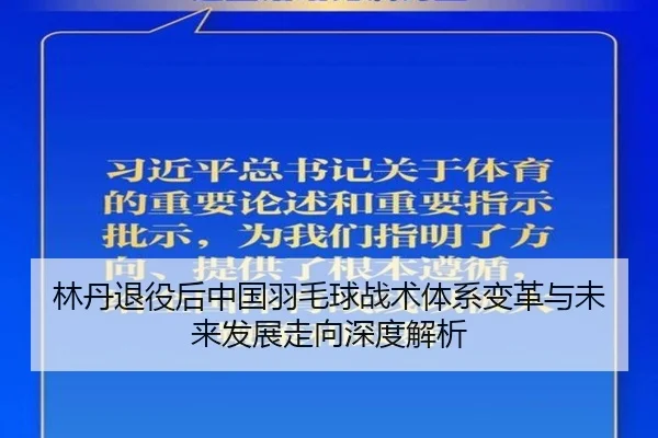 林丹退役后中国羽毛球战术体系变革与未来发展走向深度解析