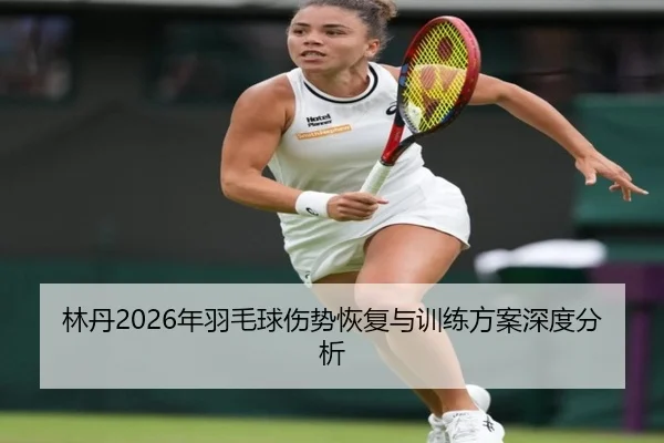 林丹2026年羽毛球伤势恢复与训练方案深度分析